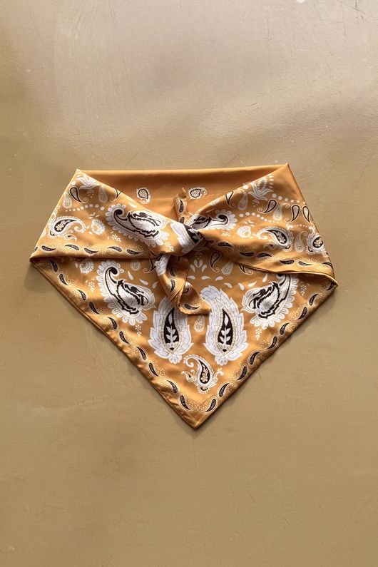 Bandana Triangle Silk Neckerchief Dijon 